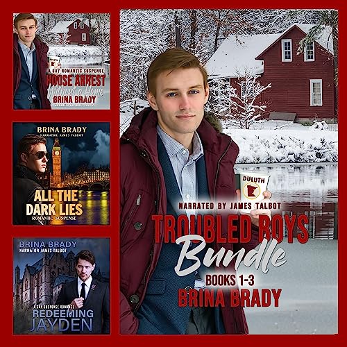 Troubled Boys Bundle Audiobook By Brina Brady cover art