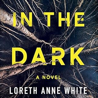 In the Dark Audiobook By Loreth Anne White cover art