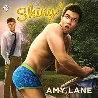 Shiny! Audiobook By Amy Lane cover art