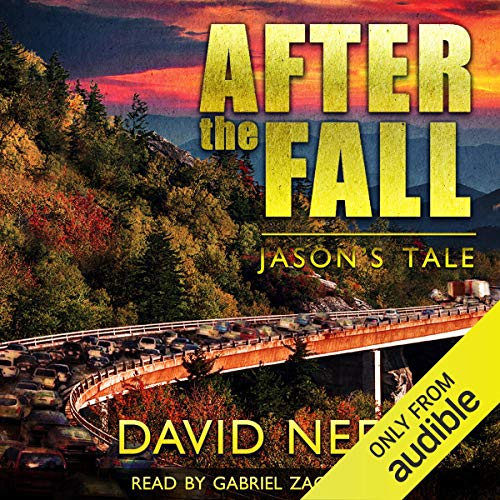 After the Fall Audiobook By David E. Nees cover art