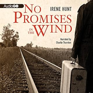 No Promises in the Wind Audiobook By Irene Hunt cover art