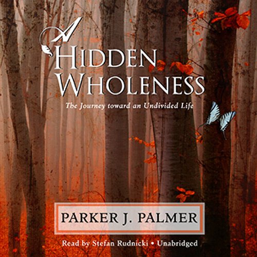 Couverture de A Hidden Wholeness