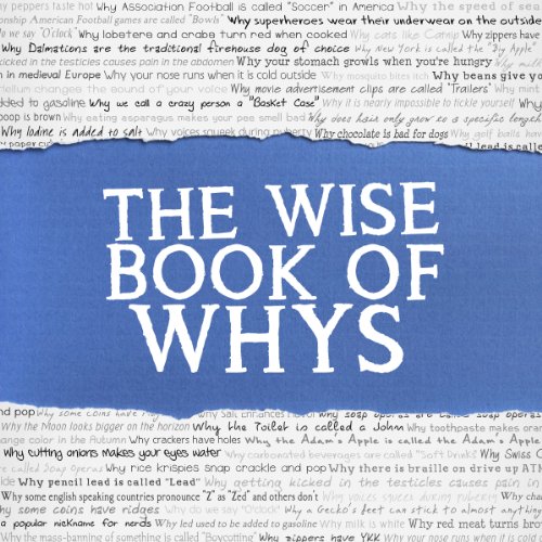 The Wise Book of Whys Audiobook By Daven Hiskey, Today I Found Out.com cover art