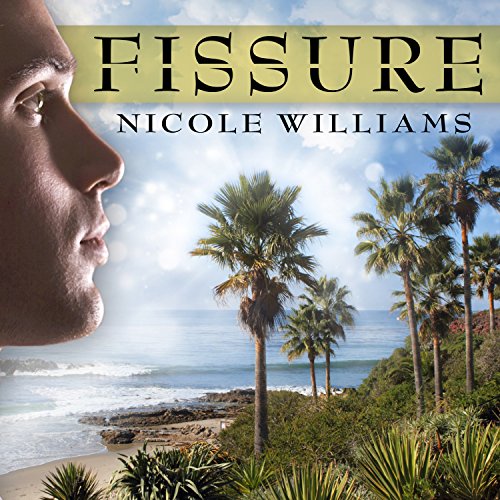 Fissure cover art