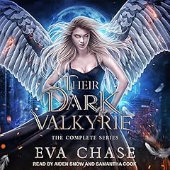 Their Dark Valkyrie cover art