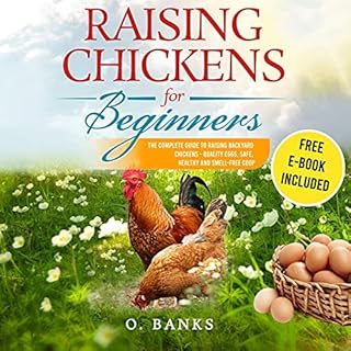 Raising Chickens for Beginners Audiobook By O. Banks cover art