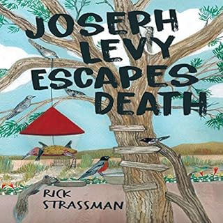 Joseph Levy Escapes Death Audiolibro Por Rick Strassman arte de portada