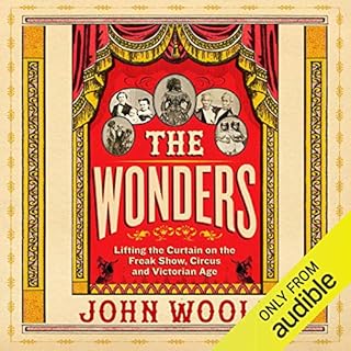 The Wonders Audiobook By John Woolf cover art