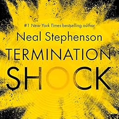 Termination Shock cover art