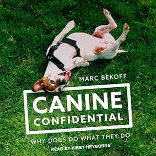 Canine Confidential Audiobook By Marc Bekoff cover art