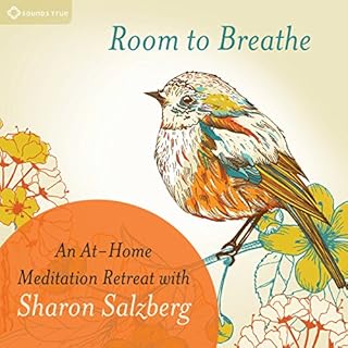 Room to Breathe Audiobook By Sharon Salzberg cover art