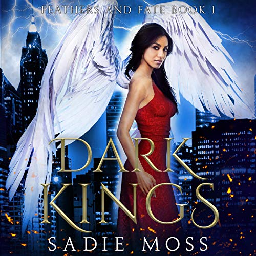 Dark Kings: A Reverse Harem Paranormal Romance cover art