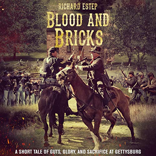 Blood and Bricks Audiolivro Por Richard Estep capa