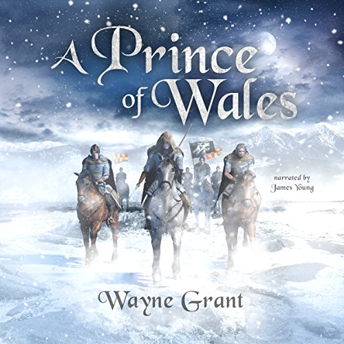 A Prince of Wales Audiobook By Wayne Grant cover art