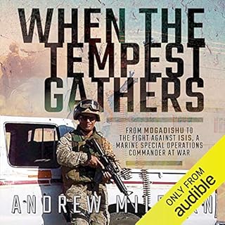 When the Tempest Gathers Audiolibro Por Andrew Milburn arte de portada