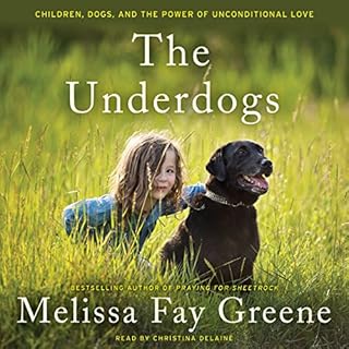 The Underdogs Audiolibro Por Melissa Fay Greene arte de portada