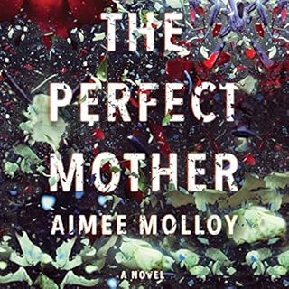 The Perfect Mother Audiobook By Aimee Molloy cover art