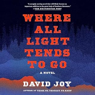 Where All Light Tends to Go Audiolibro Por David Joy arte de portada