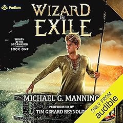 Wizard in Exile Audiolibro Por Michael G. Manning arte de portada