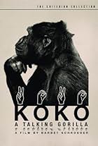 Koko: A Talking Gorilla