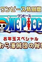 One Piece: Otoshidama Special - Tokubetsu Hou Mugiwara Kaizoku-dan no Himitsu!