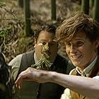 Dan Fogler and Eddie Redmayne in Fantastic Beasts and Where to Find Them (2016)