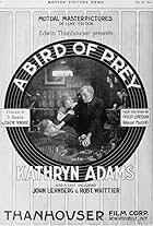 A Bird of Prey (1916)