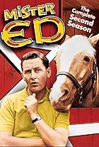 Mister Ed, il mulo parlante