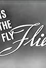 As the Fly Flies (1944)