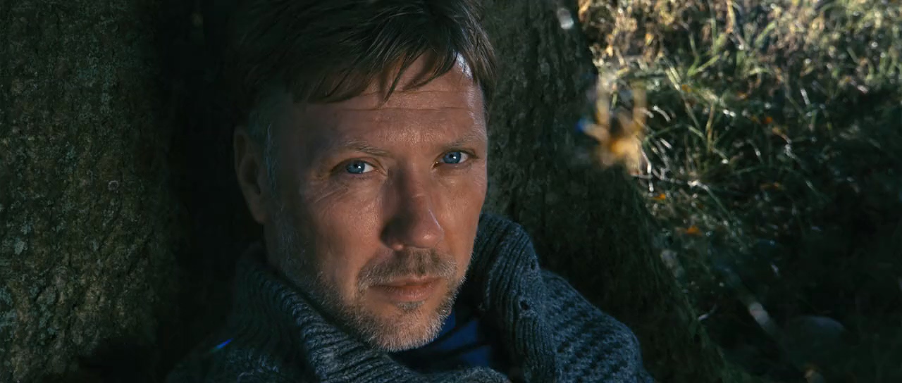 Mikael Persbrandt in In a Better World (2010)