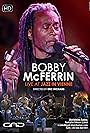 BOBBY McFERRIN live at Jazz in Vienne (2014)