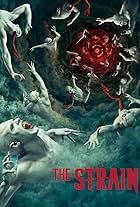 The Strain