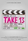 Take 13 (2015)