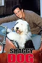 The Shaggy Dog