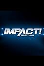 Impact Wrestling PPV Events (2004)