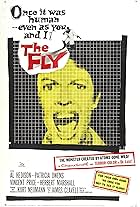 The Fly