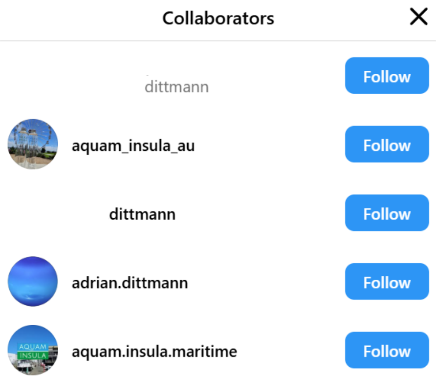 screenshot of the instagram post collaborators ui showing 5 accounts: one with the last name dittmann, aquam_insula_au, another one with the last name dittmann, adrian.dittmann, aquam.insula.maritime