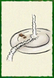 A microgame icon