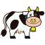 Moo Moo