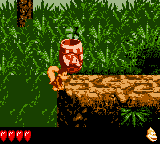 A bug in Donkey Kong Land III which allows Dixie Kong to bypass Ellie in Rainforest Rumble.