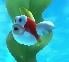 A Cheep Cheep in Mario Kart 7