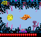 Kiddy Kong swimming toward the DK Coin of Coral Quarrel in Donkey Kong GB: Dinky Kong & Dixie Kong