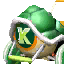 Koopa Dasher