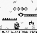 Wario Land: Super Mario Land 3