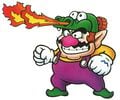 Wario Land: Super Mario Land 3