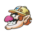 Wario Land: Super Mario Land 3