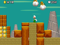 Screenshot from New Super Mario Bros.