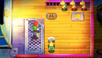 Mario and Luigi about to have their photographs taken in Mario & Luigi: Superstar Saga   Bowser's Minions