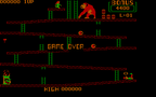 Donkey Kong (DOS)