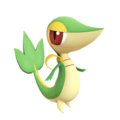 Snivy